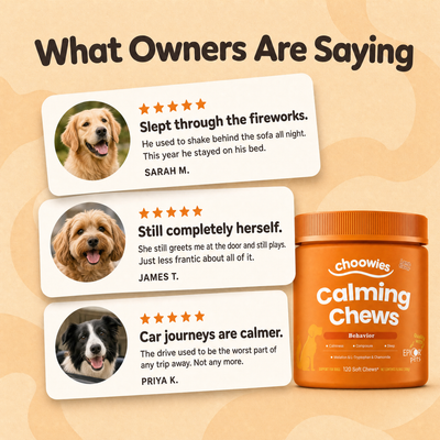 Pet Calming Soft Chew