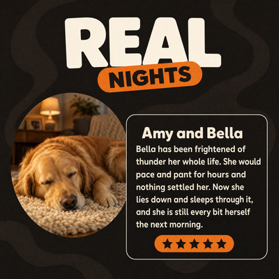 Pet Calming Soft Chew